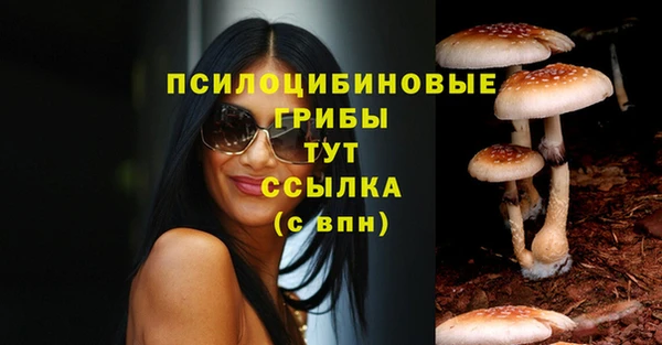 сатива Лабытнанги