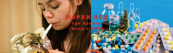 сатива Лабытнанги