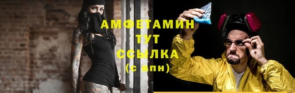 сатива Лабытнанги
