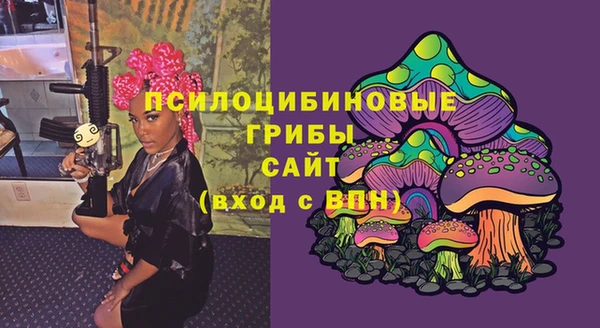 сатива Лабытнанги
