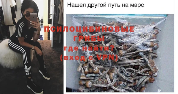 сатива Лабытнанги