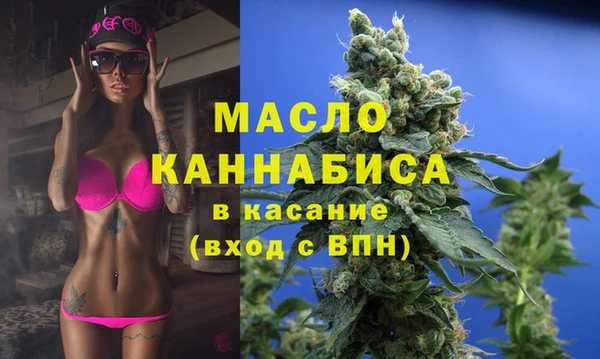 сатива Лабытнанги