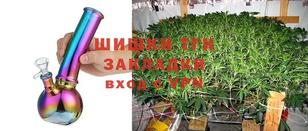 сатива Лабытнанги