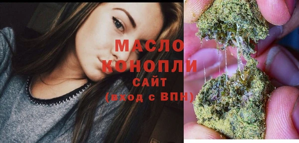 сатива Лабытнанги