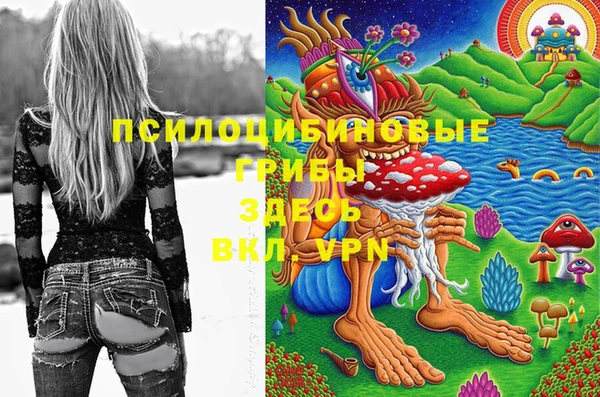 кокаин перу Ладушкин