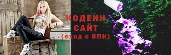 сатива Лабытнанги