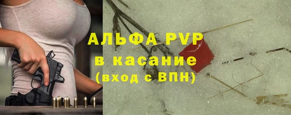 сатива Лабытнанги