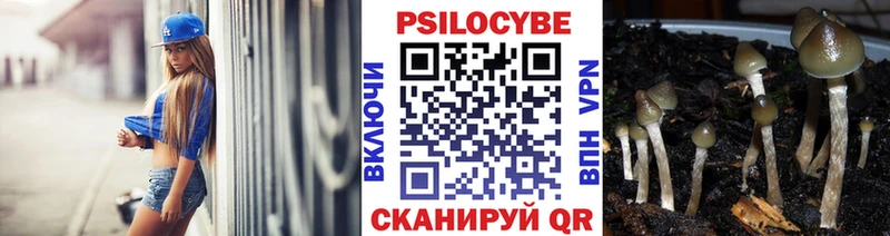 Купить где  Алексин  Псилоцибиновые грибы прущие грибы 